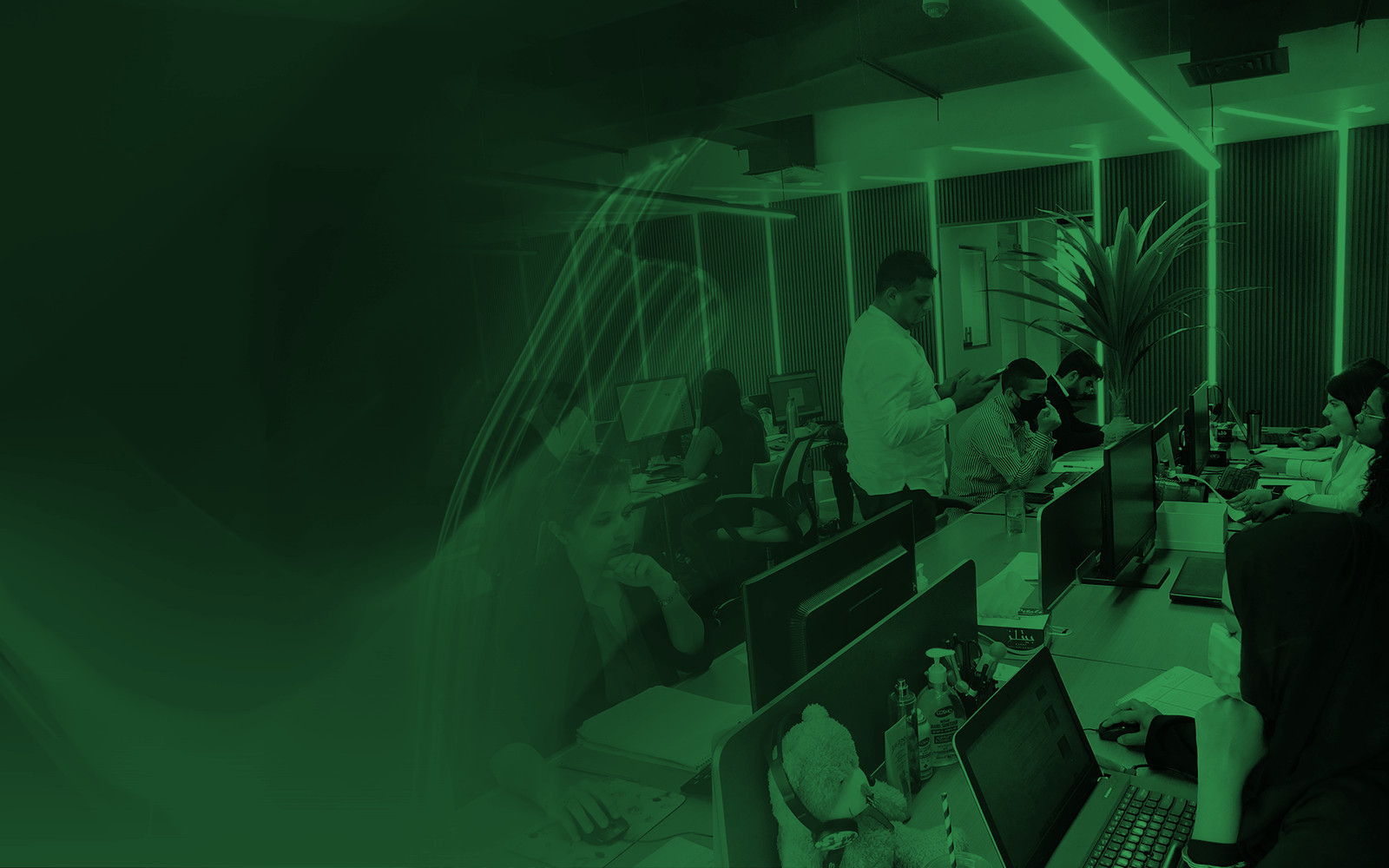 Meet the Marc Ellis team - Marc Ellis